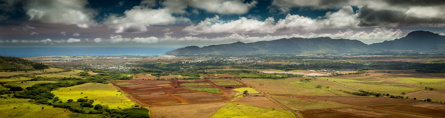 Kauai Island Tours