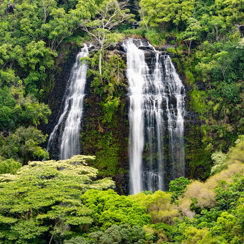 Polynesian Adventure Tours 