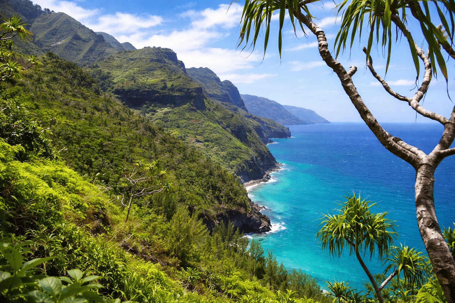 Kauai Island Tours